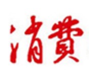 中国消费导报