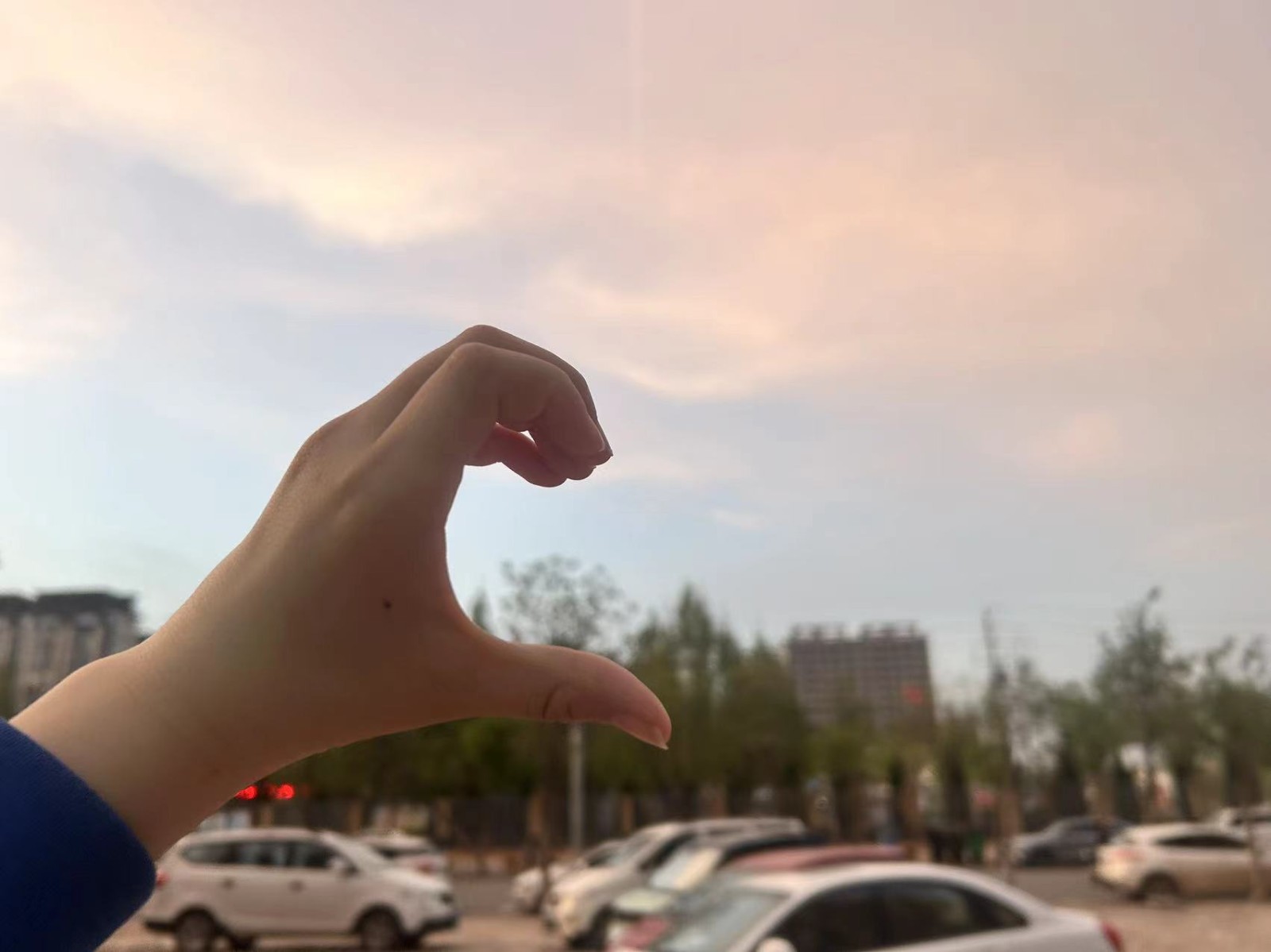 健康有约