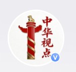 中华视点