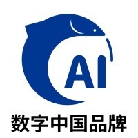 数字中国品牌
