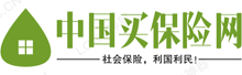 中国买保险网