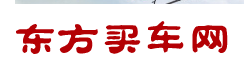 东方买车网