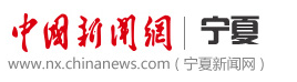 中国新闻网宁夏