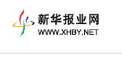 新华报业网科技