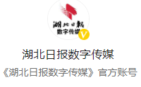 湖北日报数字传媒