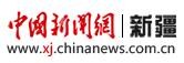 中新网新疆
