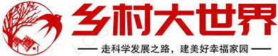 乡村大世界(农村大世界)