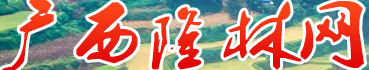 广西隆林网