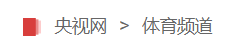 央视网体育首发