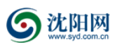 沈阳网syd.com.cn