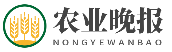 农业晚报