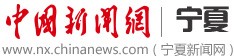 中国新闻网宁夏首发