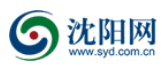 沈阳网首发