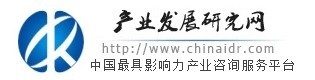中国产业发展研究网首发（包新）