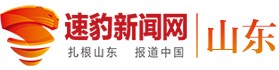 山东商报速豹新闻