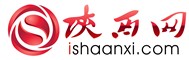 陕西网首发