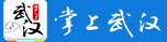 掌上武汉客户端记者首发