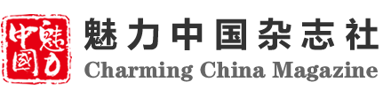 河南广播电视台魅力中国