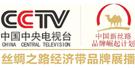 央视网列车频道