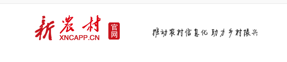 新农村首发