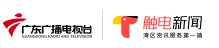广东电视台触电新闻（看看大世界）