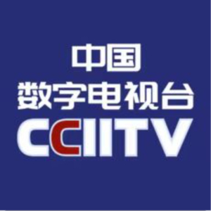 中国数字电视台