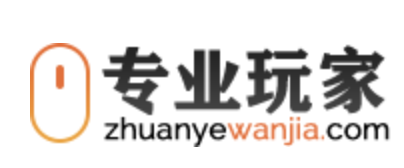 专业玩家