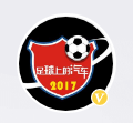足球上的汽车