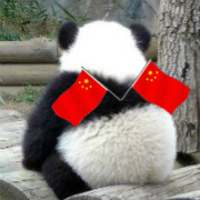 搞笑天才小熊猫图片