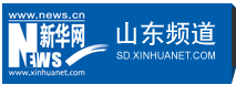 新华网山东