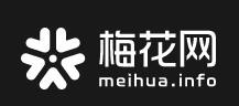 梅花网（视频）
